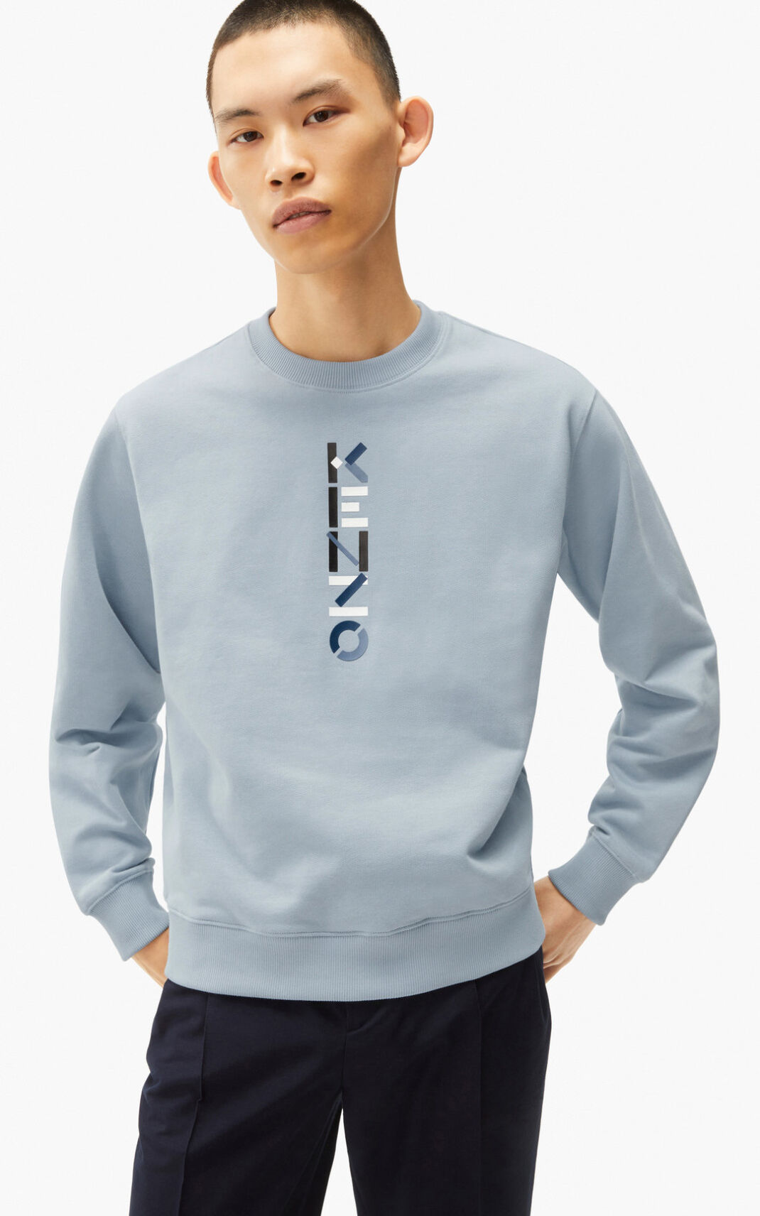 Kenzo The Kışlık Capsule Logo Sweatshirt Erkek Gri | 2915-PDREY